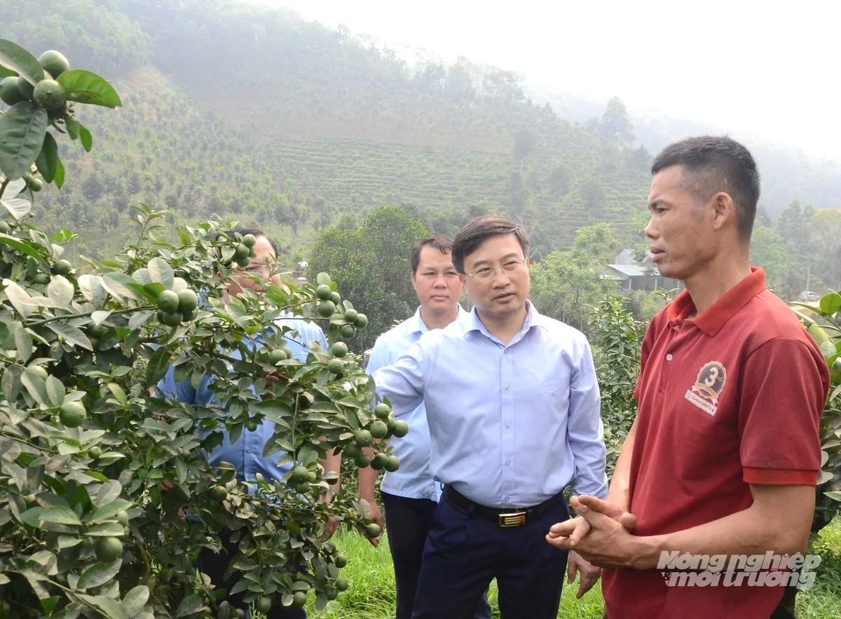 Tỉnh Tuyên Quang có nhiều tiềm năng phát triển nông nghiệp hữu cơ
