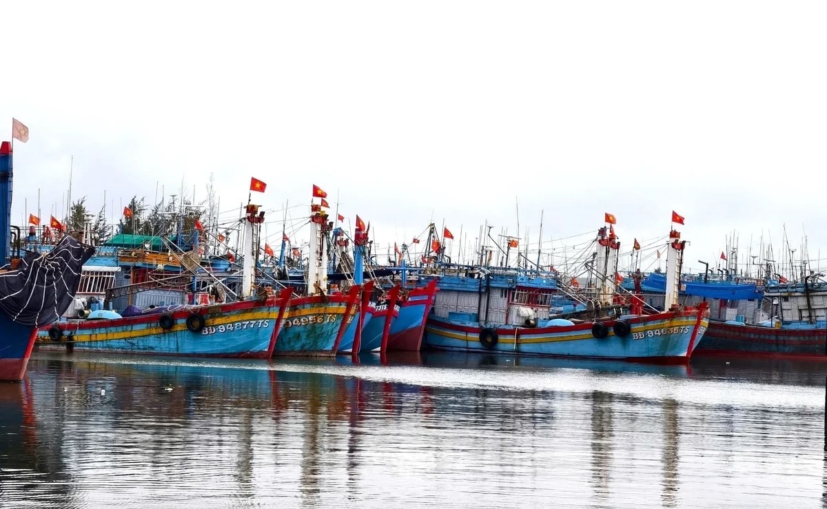 Quảng Ngãi tái định hình ngành thủy sản trong không gian mới
