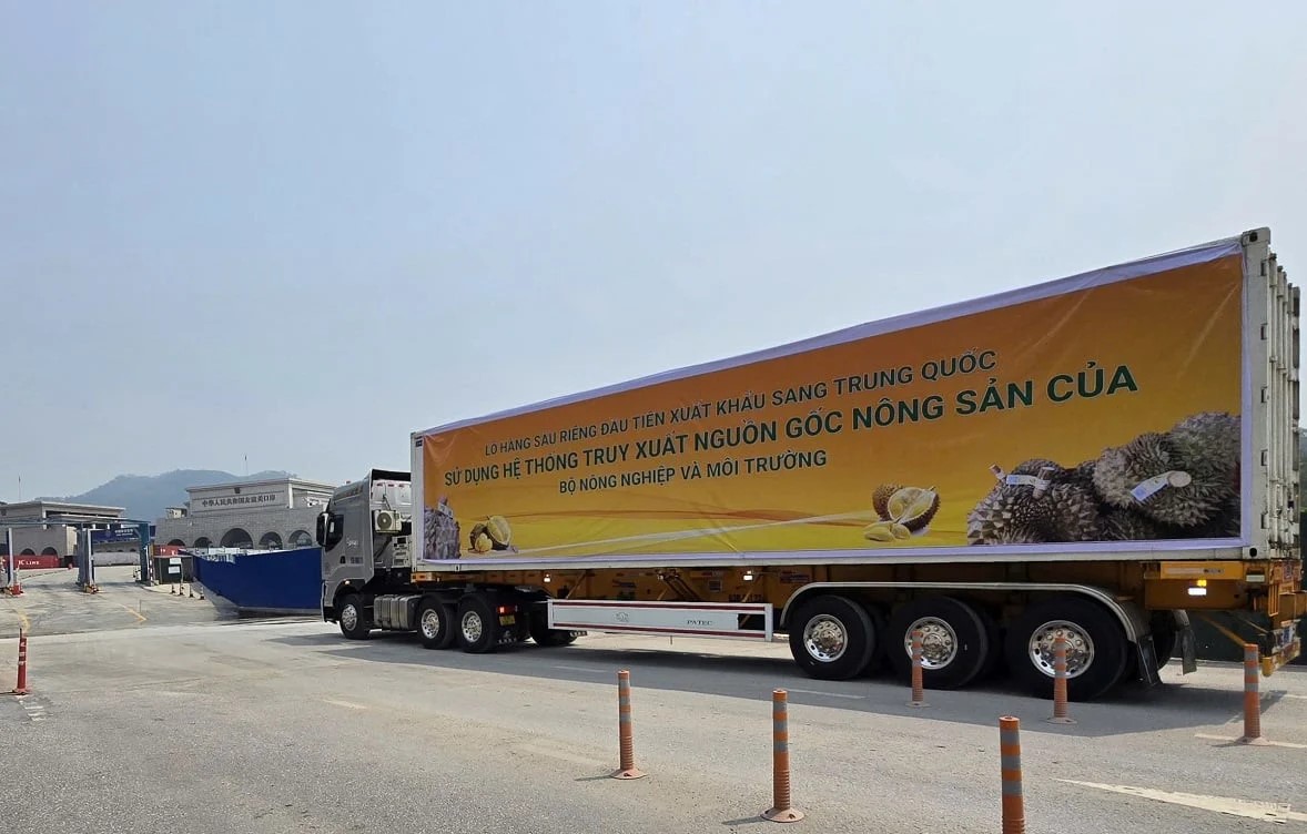 Luồng xanh sầu riêng và ‘luật chơi’ mới: Không truy xuất, khó xuất khẩu 