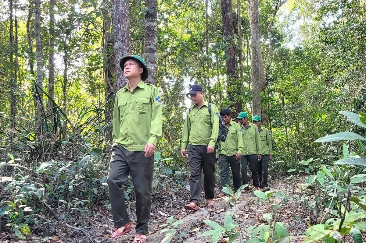 Gia Lai siết chặt quản lý, bảo vệ rừng
