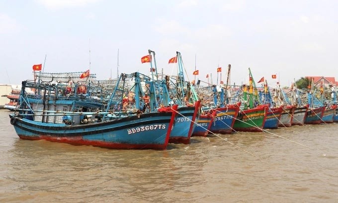 Giảm rào cản kinh doanh, mở rộng cơ hội thị trường
