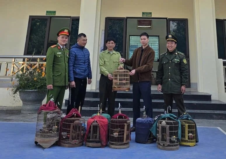 Khi người dân coi động vật hoang dã là bạn 