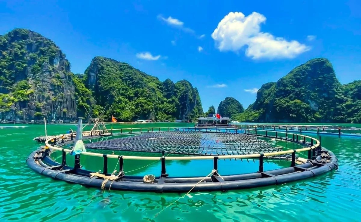 Vân Đồn tháo gỡ 'nút thắt' pháp lý trong công tác giao khu vực biển 