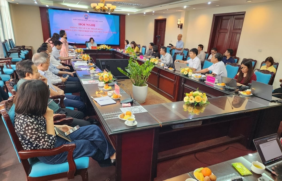 Năm 2026 phấn đấu ra đời 900-1.000 hợp tác xã mới
