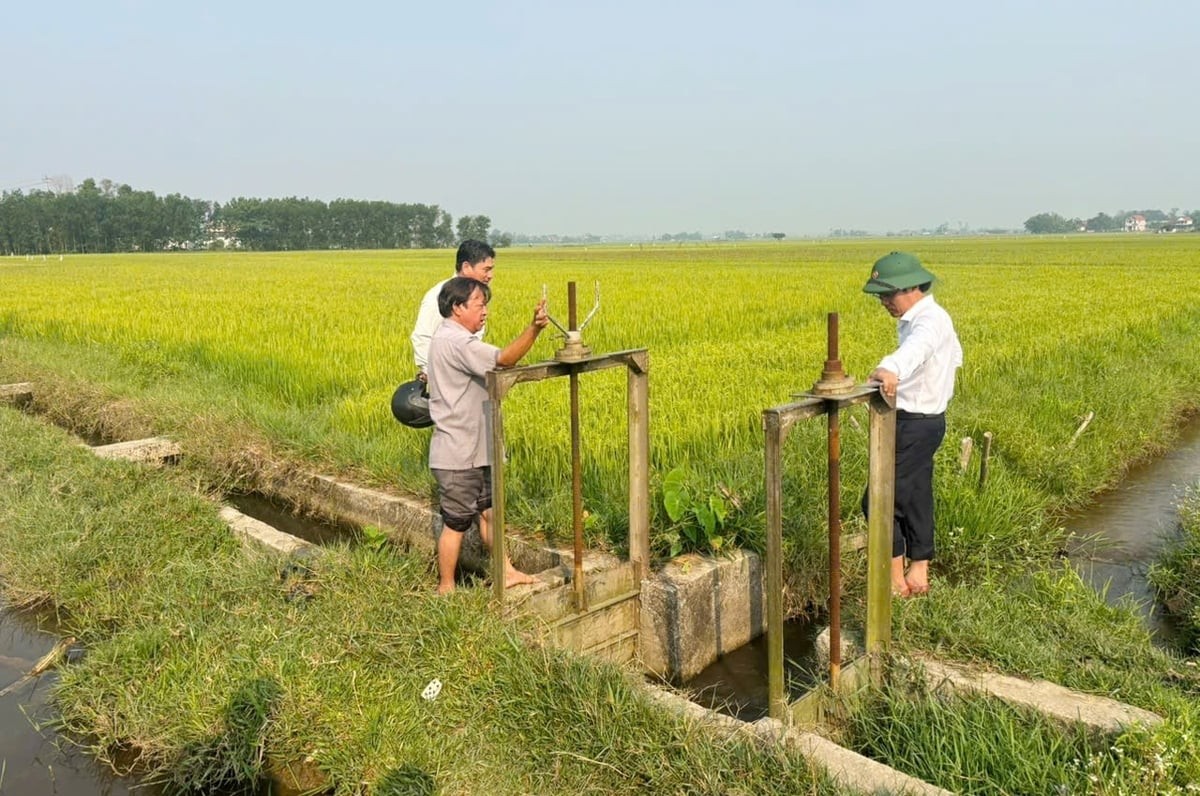 TP Huế tập trung bảo vệ cây trồng vụ đông xuân
