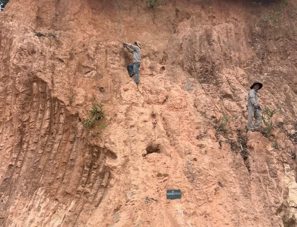 Khoáng sản chiến lược: Dữ liệu 'tiếp sức' cho công nghiệp đất hiếm
