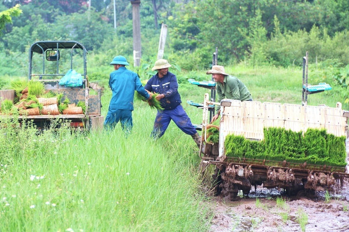 'Tiếp sức' nông dân tiếp cận công cụ tài chính ứng phó khí hậu
