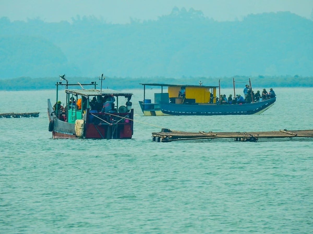 Quảng Ninh: Cưỡng chế hơn 40 bè nuôi thủy sản trái phép 