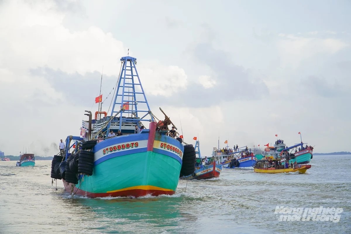 Cần Thơ hỗ trợ cước thuê bao thiết bị VMS
