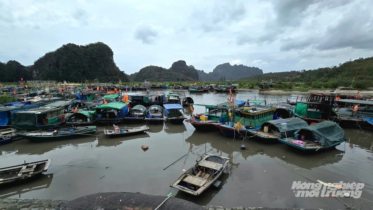 Ngư dân Quảng Ninh được hỗ trợ 70% chi phí lắp đặt thiết bị VMS
