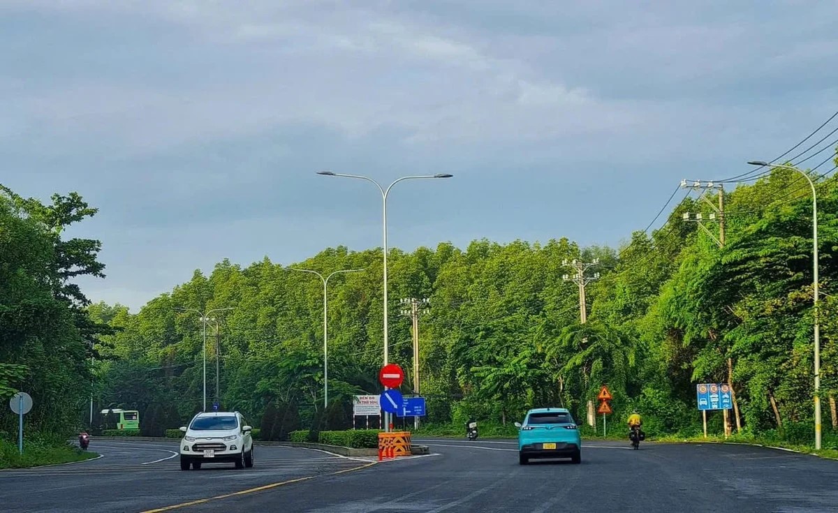 TP.HCM triển khai điều tra đa dạng sinh học và quản lý đất ngập nước

