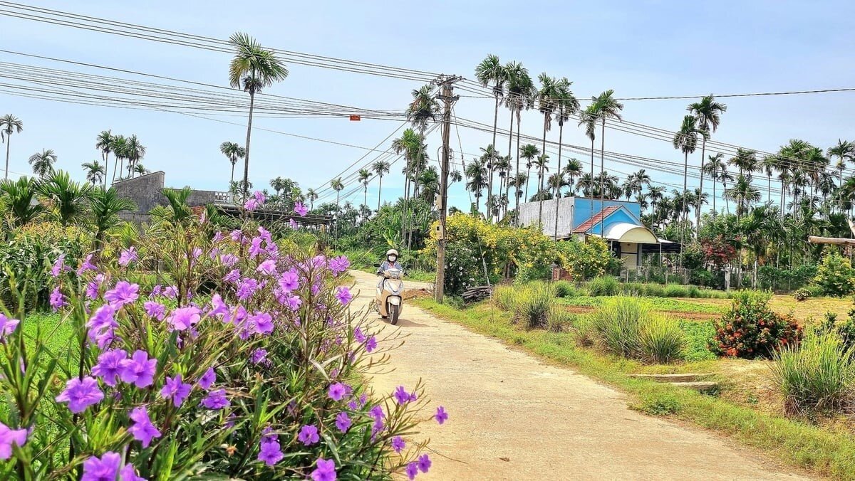 Đề xuất tiêu chí thu nhập, hợp tác xã trong nông thôn mới 