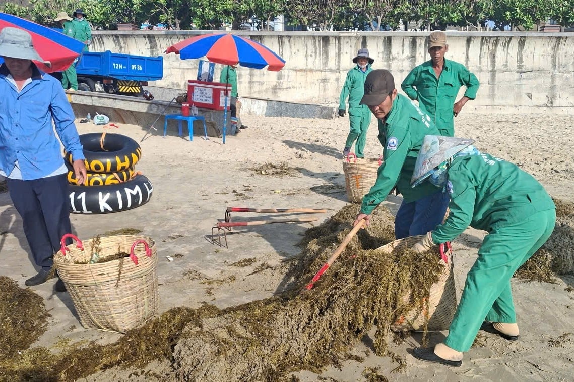 Bài toán rác thải vùng biển Vũng Tàu: Cần phối hợp đồng bộ
