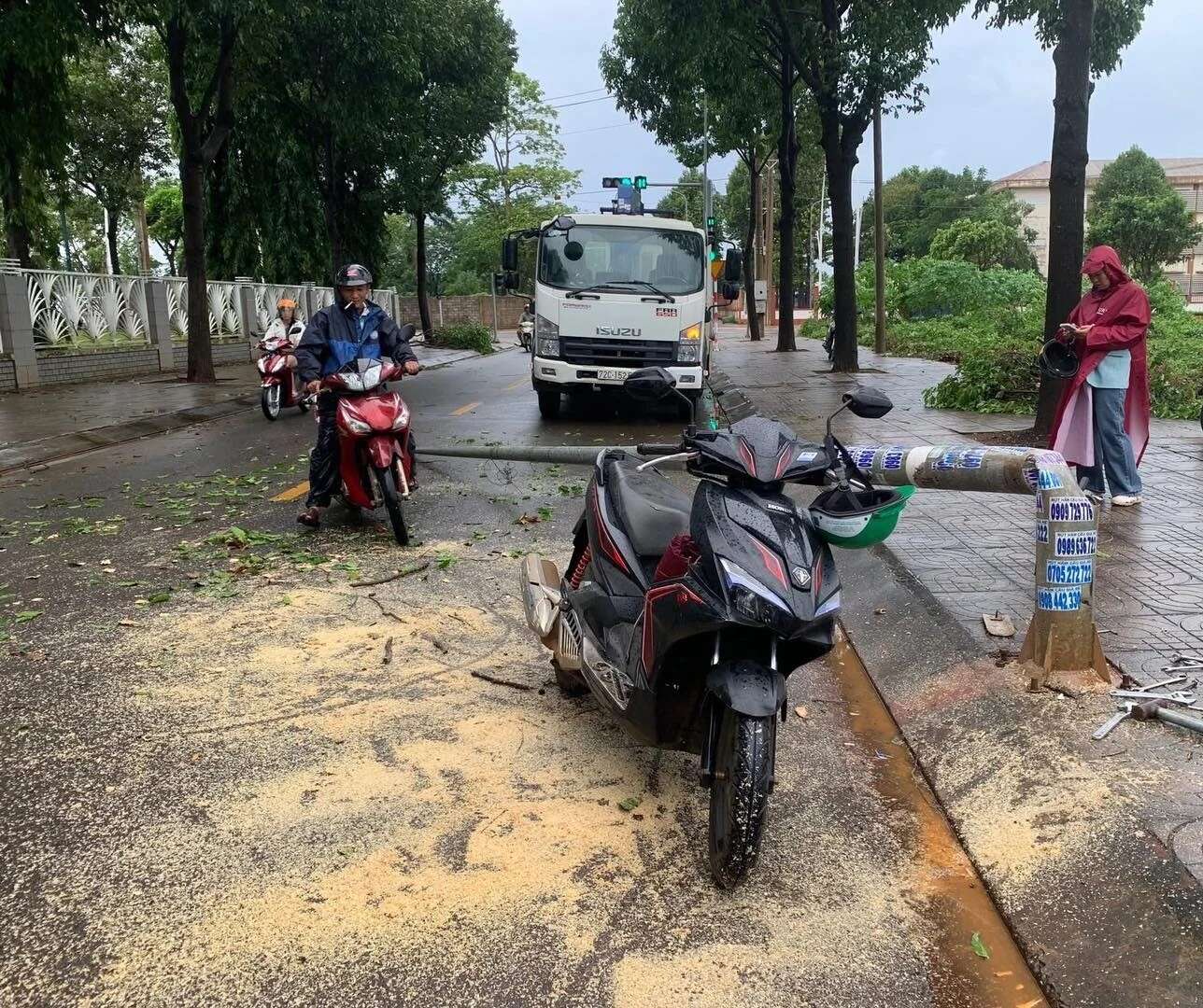 TP.HCM hưởng ứng Tuần lễ Quốc gia phòng, chống thiên tai năm 2026

