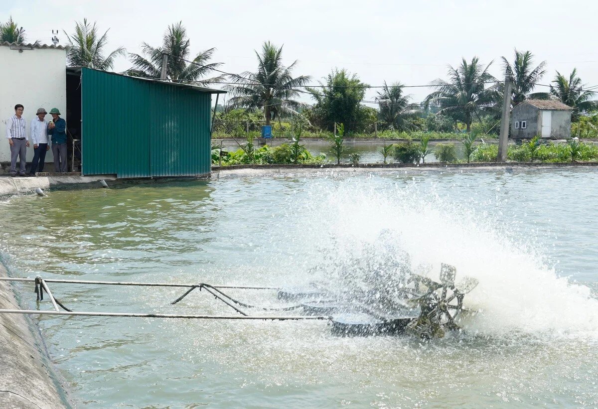Nuôi cá nhàn tênh nhờ ‘bắt nhịp’ công nghệ số
