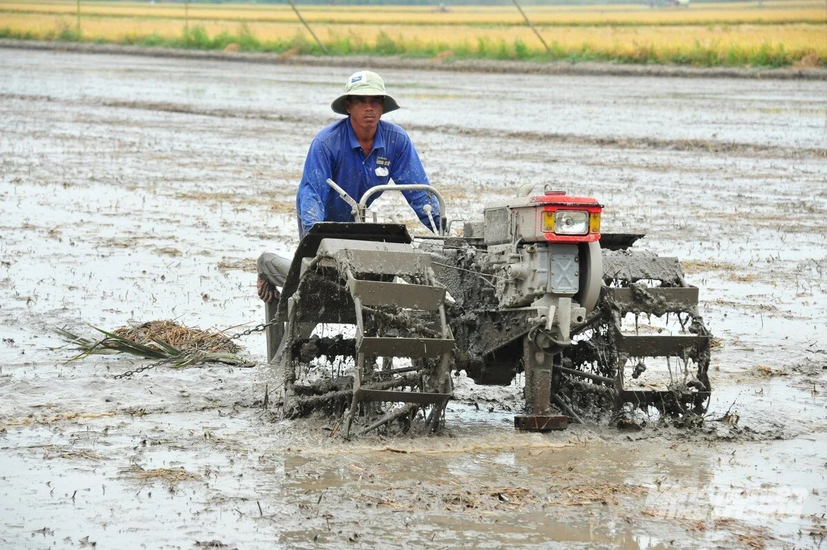 Đồng Tháp tranh thủ trữ nước ngọt khi độ mặn giảm sâu