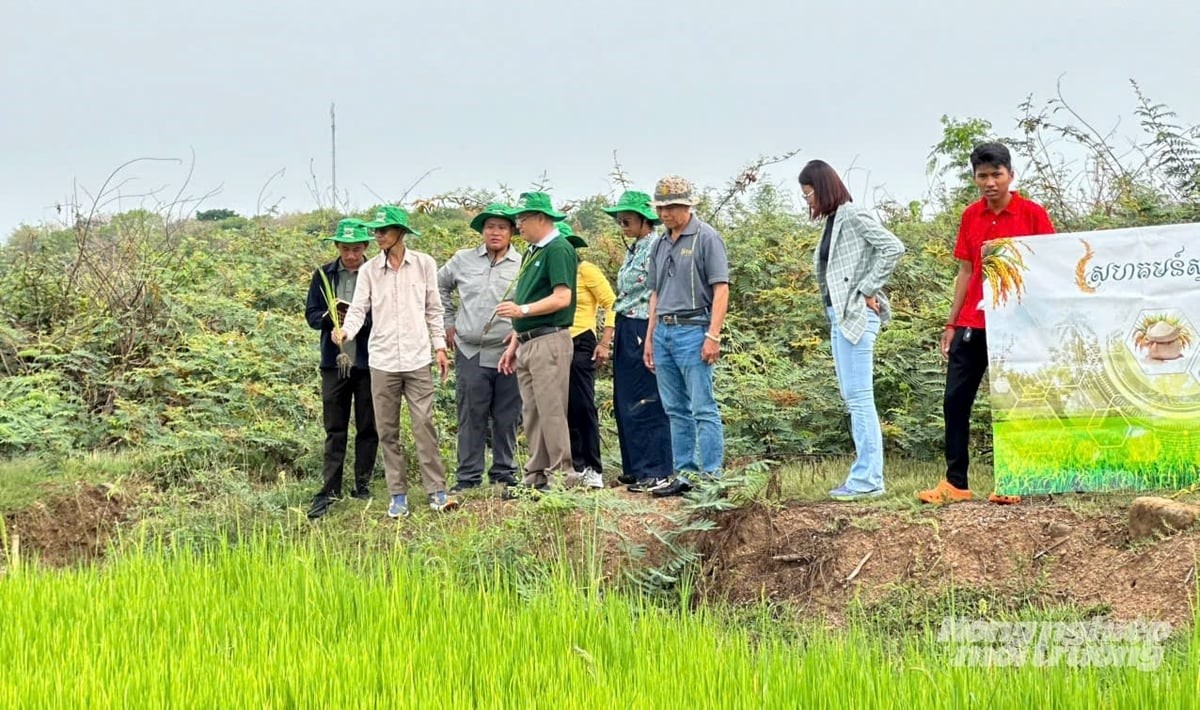 Hợp tác IAS-Rithy Group: Hướng tới mô hình nông nghiệp xanh, bền vững
