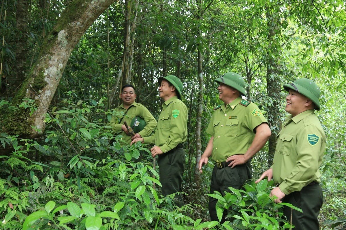 Dưới tán rừng Vườn Quốc gia Bát Xát, 'bảo tàng xanh' được nâng tầm
