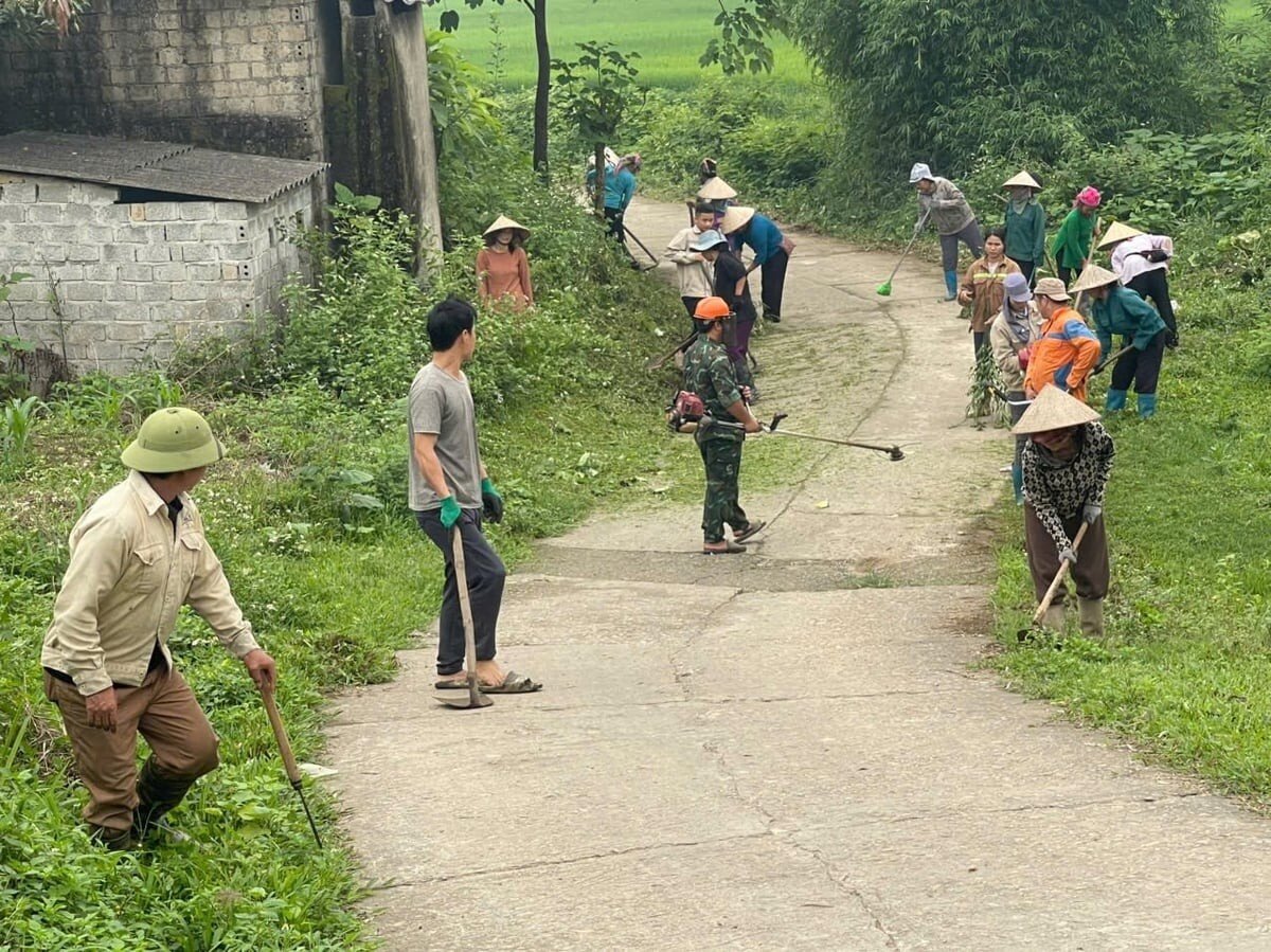 Lào Cai hưởng ứng Ngày Môi trường thế giới 2026
