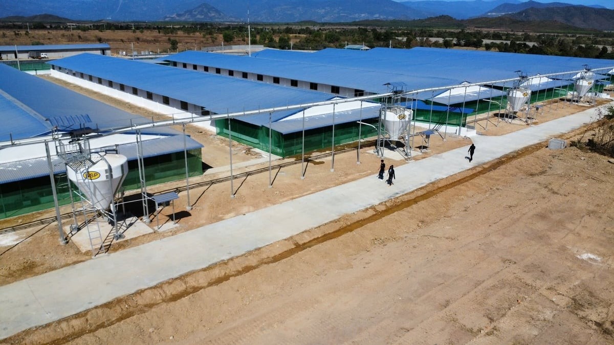 Khánh Hòa sửa đổi nhiều thủ tục hành chính về chăn nuôi và thú y 