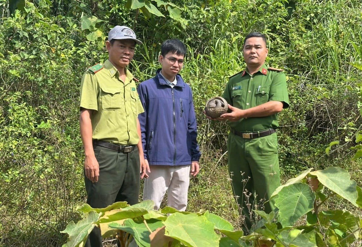 Đà Nẵng yêu cầu triệt xóa chợ buôn bán động vật hoang dã
