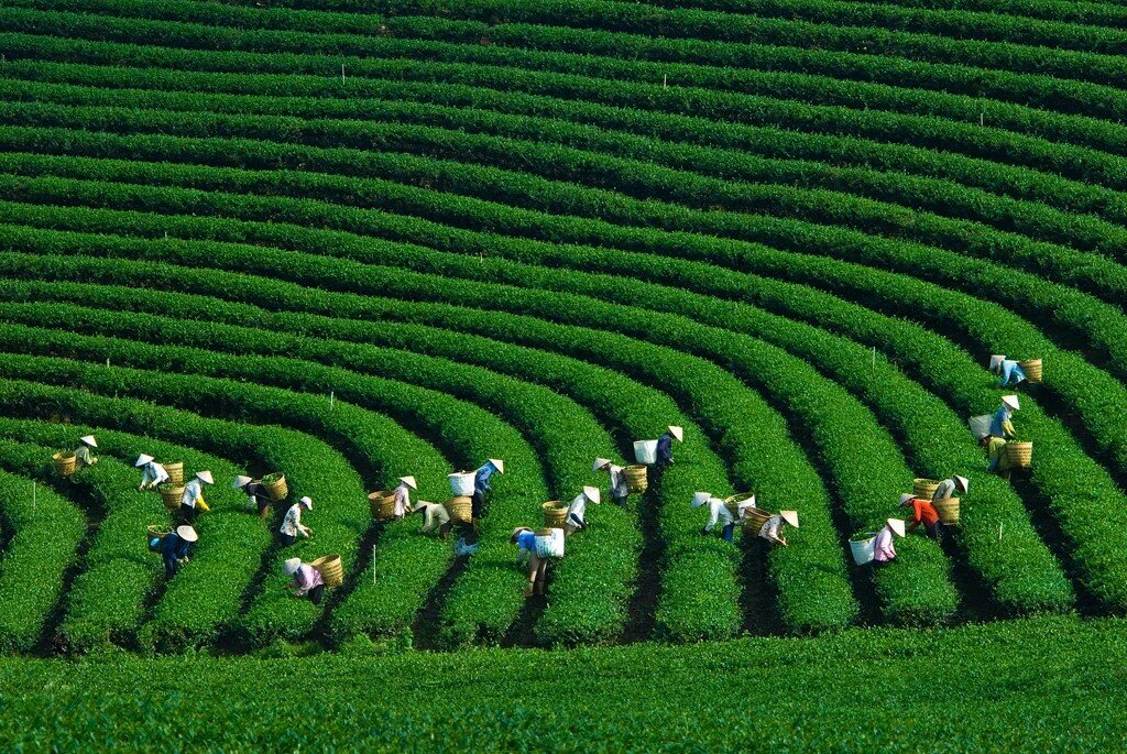 Ngành Nông nghiệp và Môi trường bứt phá nhiệm kỳ mới với 3 đột phá chiến lược
