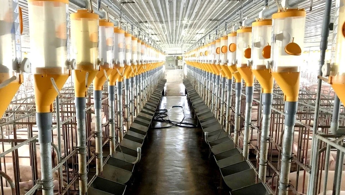 Thúc đẩy ứng dụng khoa học, công nghệ với hộ chăn nuôi 