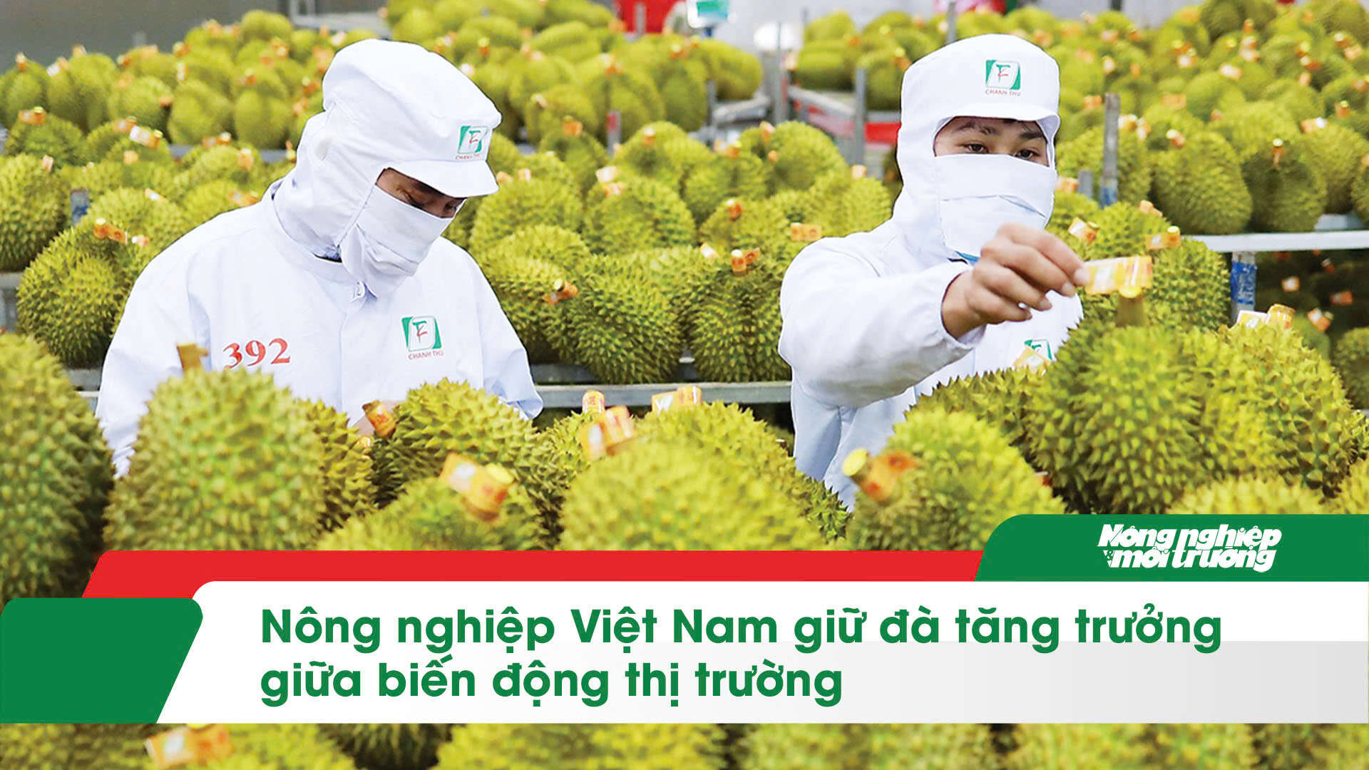 Nông nghiệp Việt Nam giữ đà tăng trưởng giữa biến động thị trường
