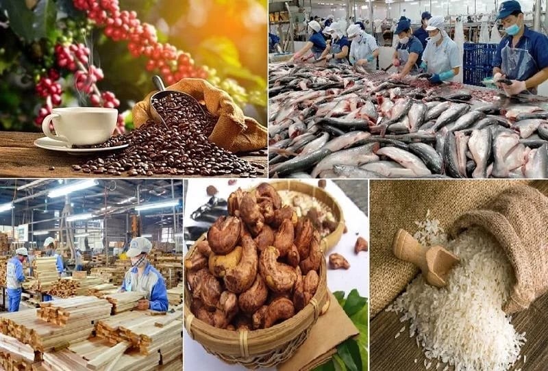 Ngành Nông nghiệp và Môi trường giữ đà tăng trưởng trong bối cảnh toàn cầu bất định
