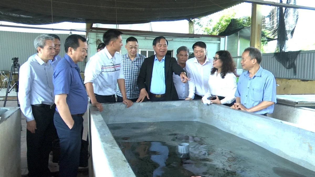 Đổi mới tư duy nghiên cứu khoa học, đột phá thủy sản giai đoạn mới 