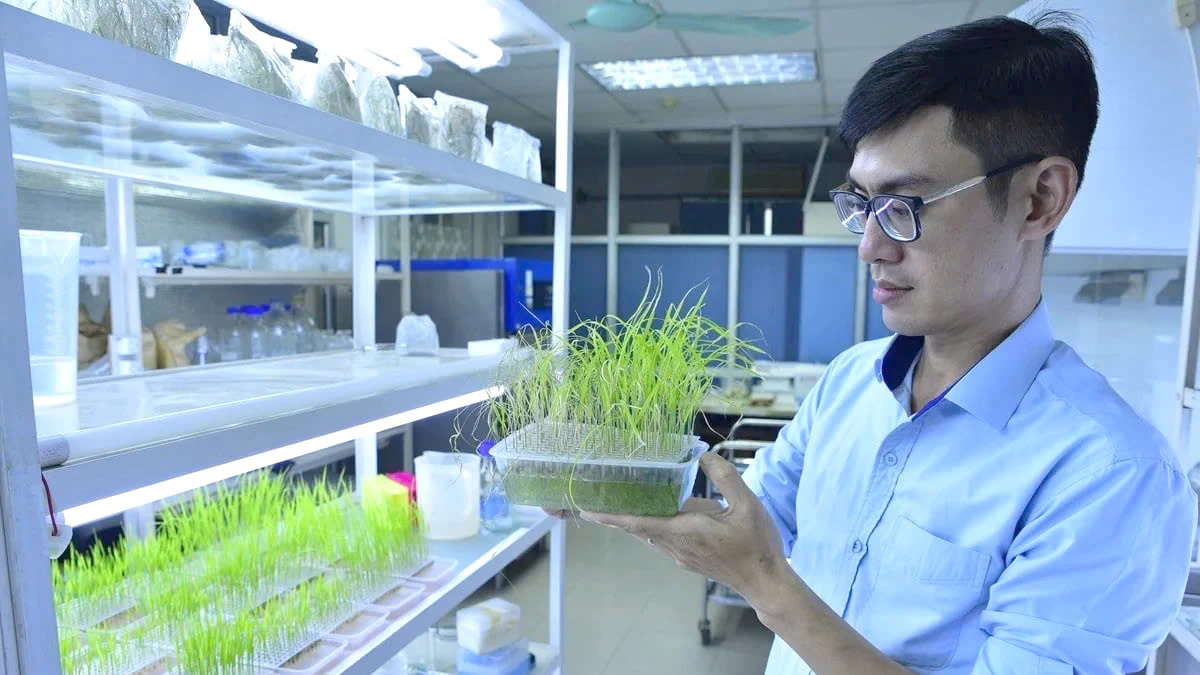 Xuất khẩu giống mở đường cho nông nghiệp ra thế giới
