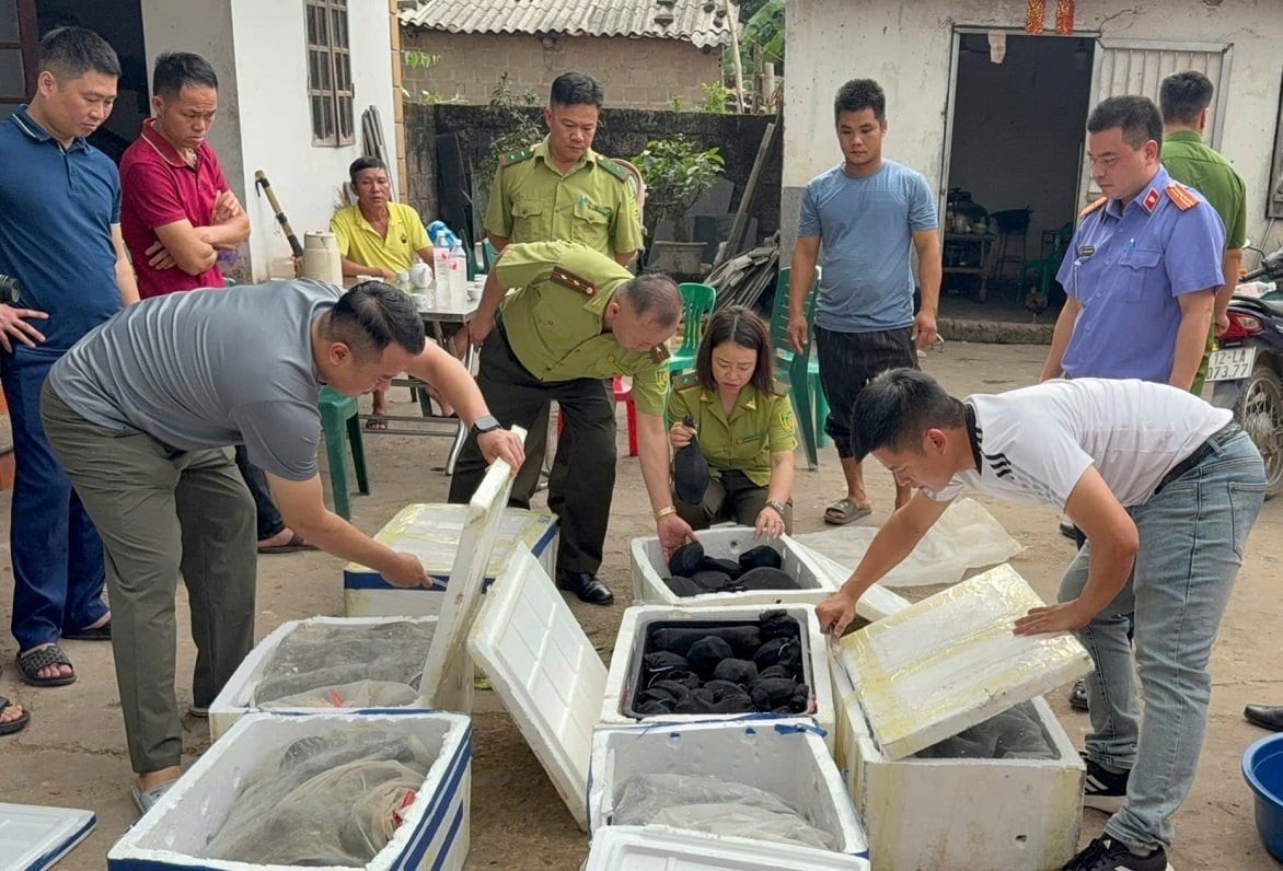 Lạng Sơn thiết lập nhiều lớp bảo vệ động vật hoang dã
