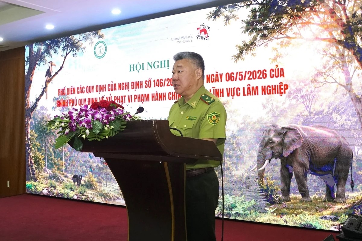 Nâng mức răn đe về vi phạm hành chính trong lĩnh vực lâm nghiệp 