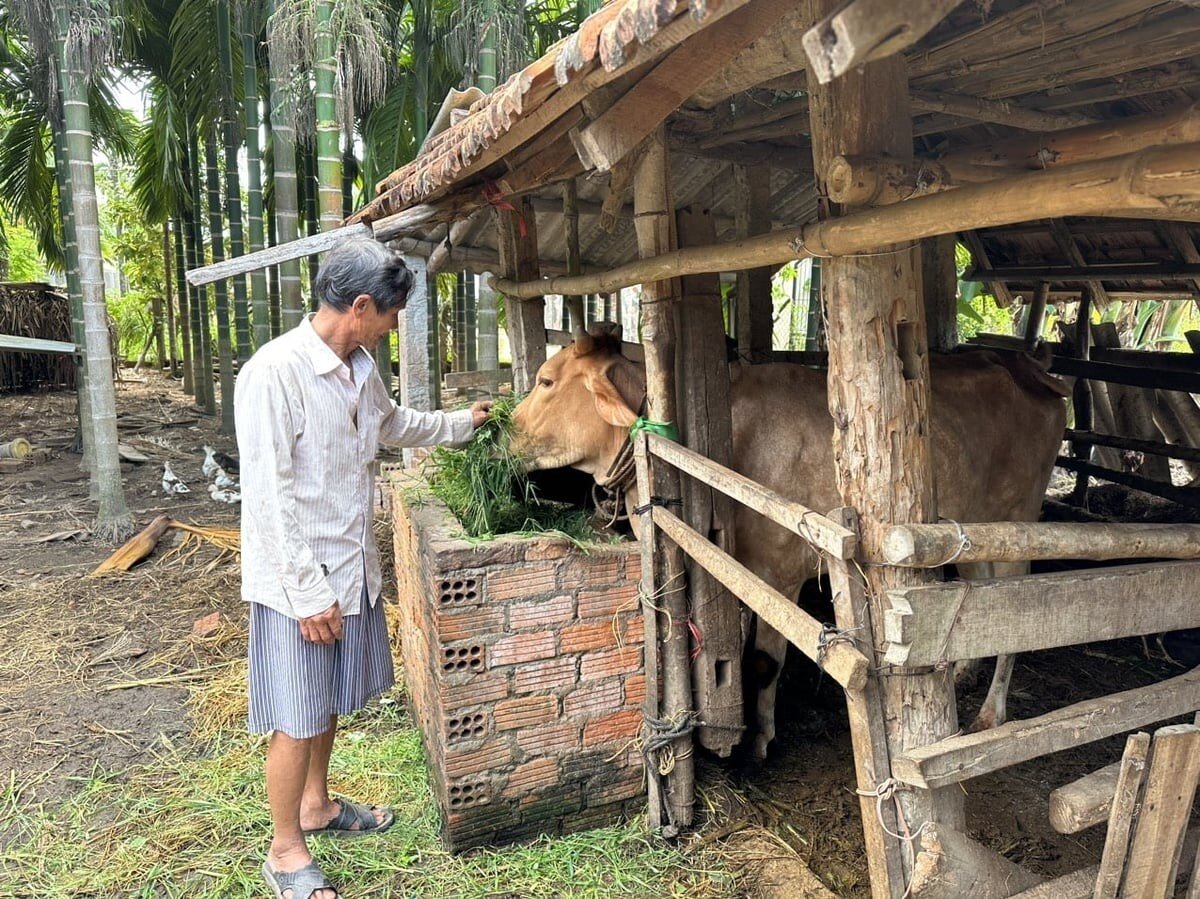 Đưa công nghệ vào đồng ruộng, nâng giá trị nông sản 