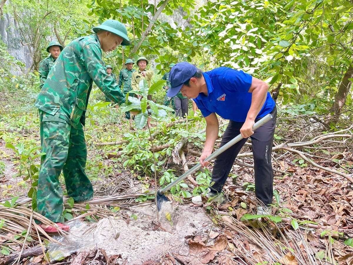 Hàng trăm người dọn rác, thả động vật tại Cát Bà hưởng ứng Ngày môi trường
