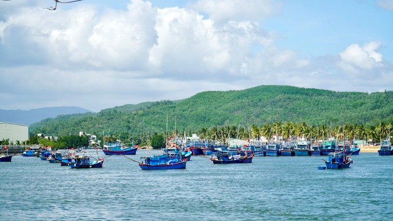 Tập trung thực hiện các quy định của EU về chống khai thác hải sản bất hợp pháp