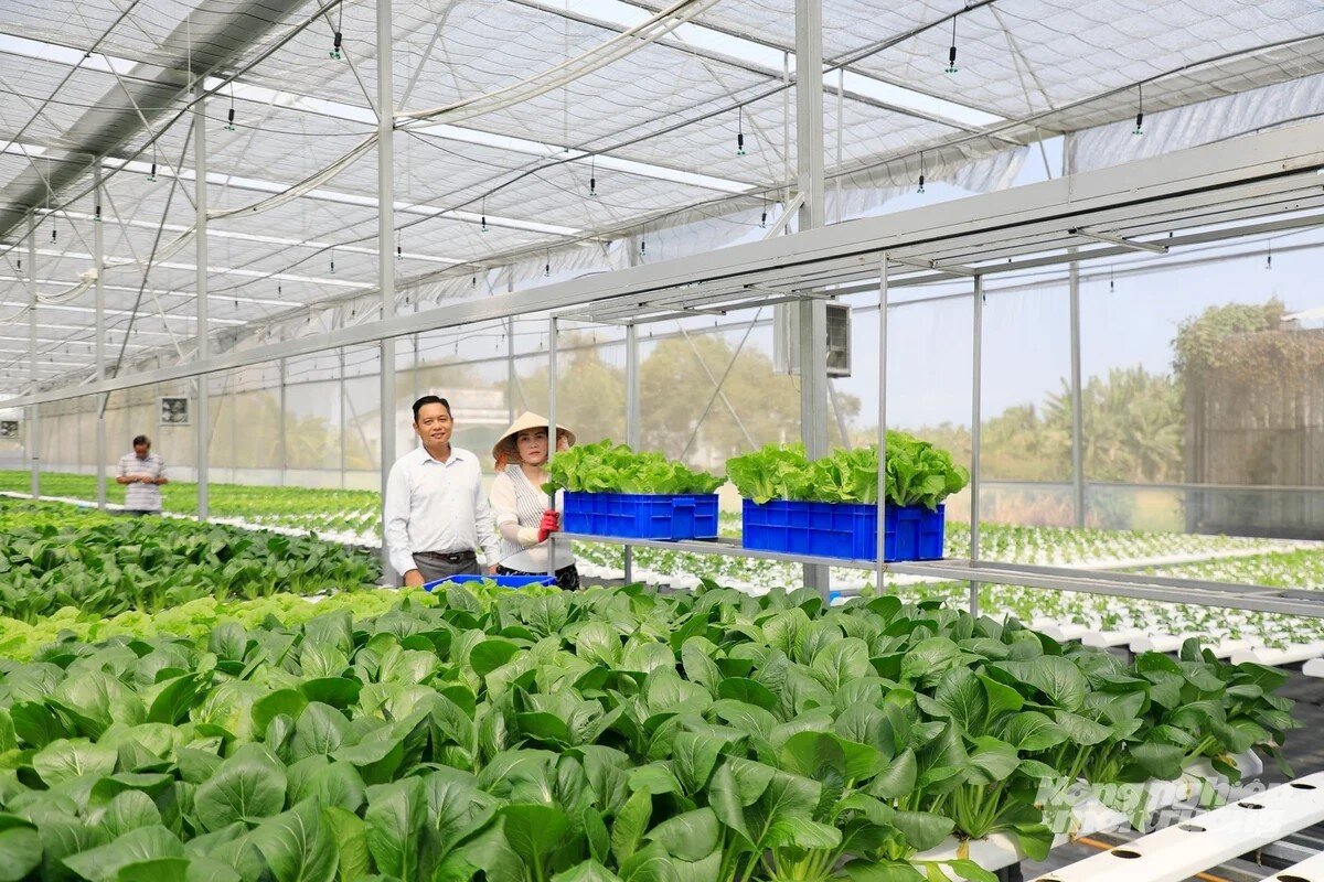 TP.HCM hình thành thế hệ nông dân số

