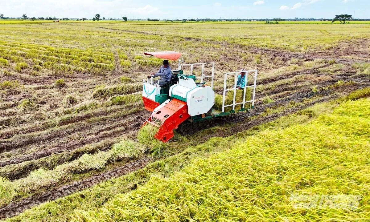 Cần Thơ quy định mới về hạn mức giao đất và sử dụng đất nông nghiệp 
