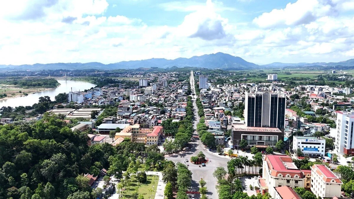 Tuyên Quang quy định mới về hạn mức giao đất và nhận chuyển quyền sử dụng đất nông nghiệp 