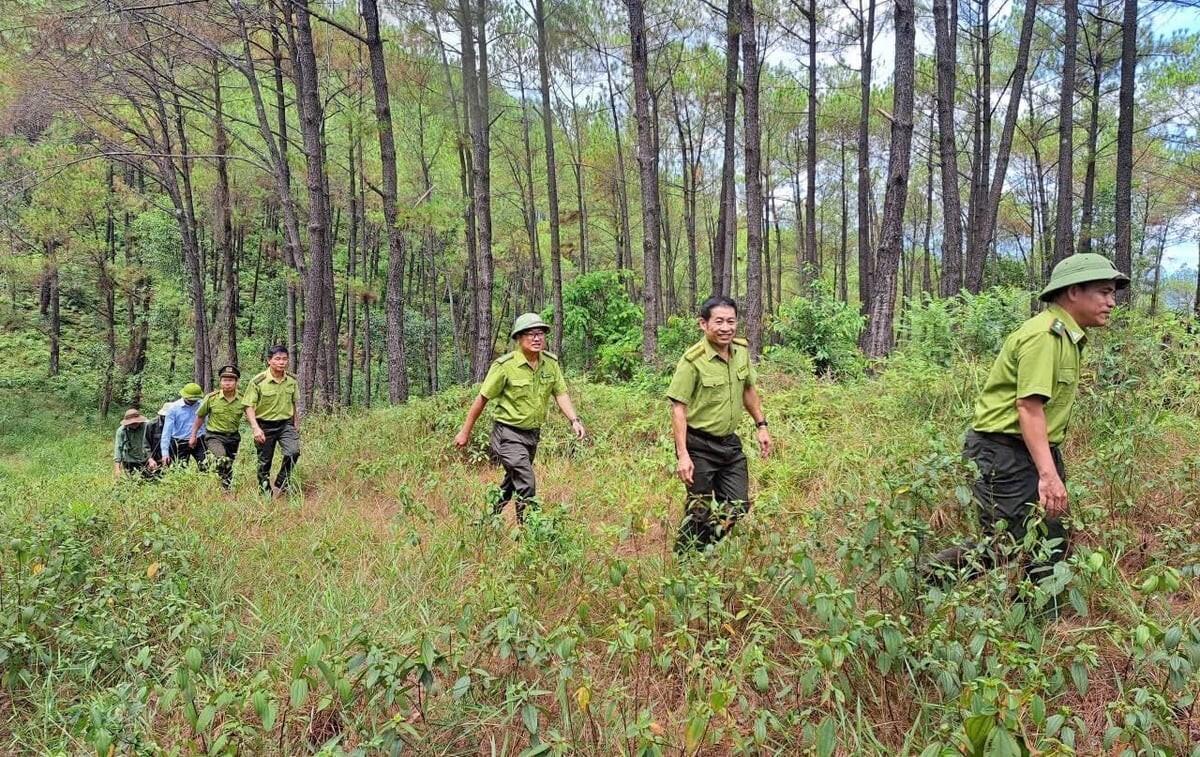 TP. Huế huy động nhiều giải pháp ứng phó cháy rừng 