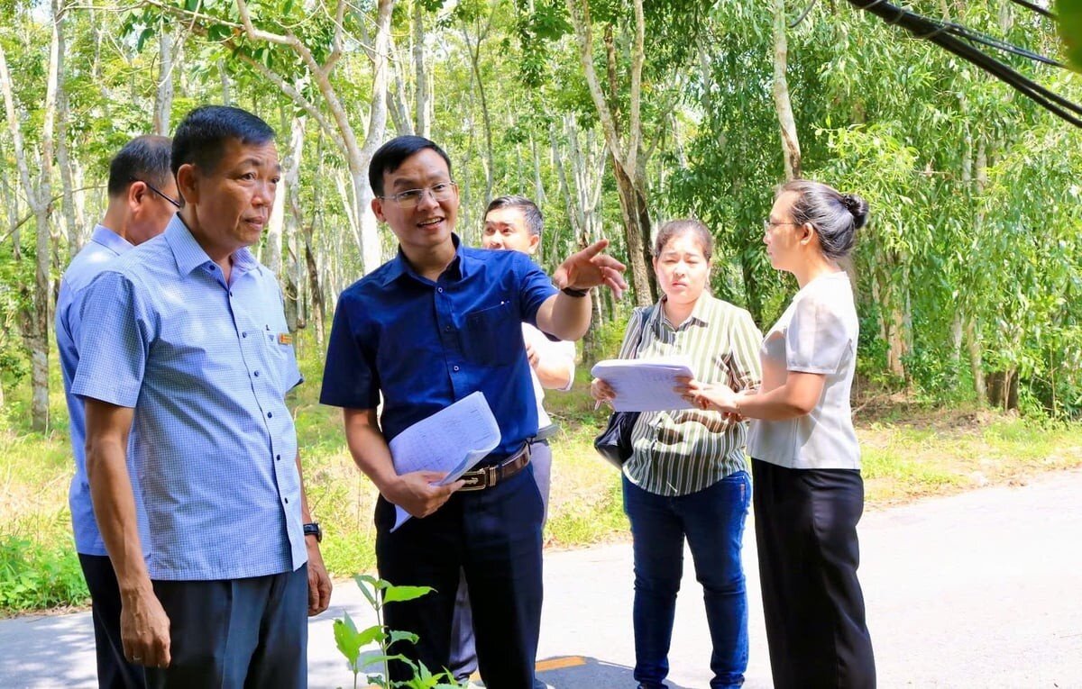 Kiến tạo nông thôn: Phú Giáo ưu tiên 508 dự án nông thôn mới 