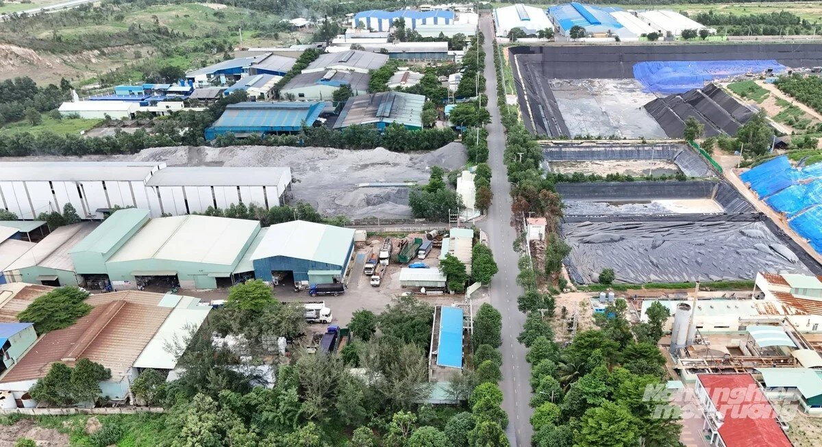 TP.HCM sẽ có thêm một dự án đốt rác phát điện
