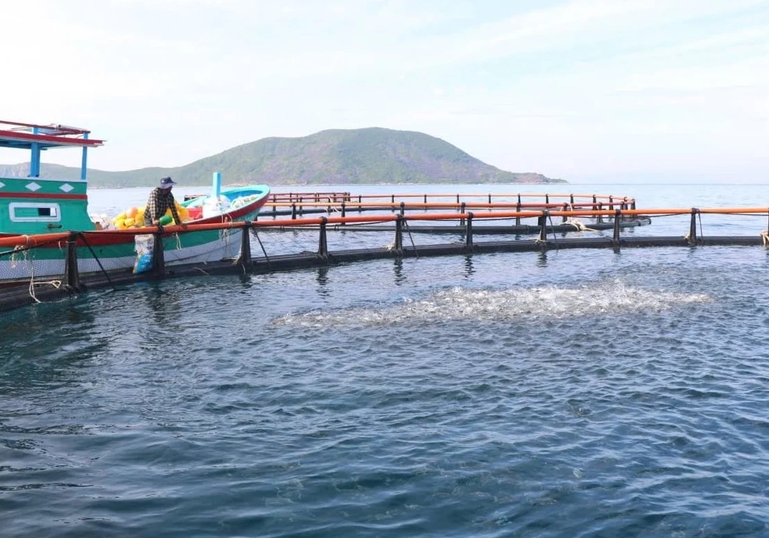 Khánh Hòa hỗ trợ ngư dân chuyển đổi lồng bè nuôi biển thân thiện môi trường
