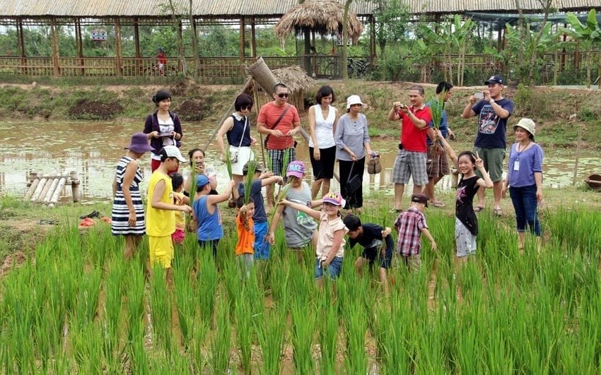 Xây dựng kế hoạch tổ chức Hội thi “Làng du lịch nông thôn Việt Nam”

