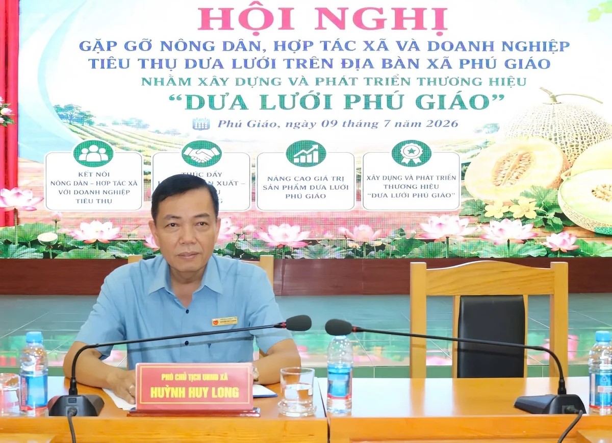 Phú Giáo xây dựng thương hiệu dưa lưới, mở rộng liên kết tiêu thụ nông sản
