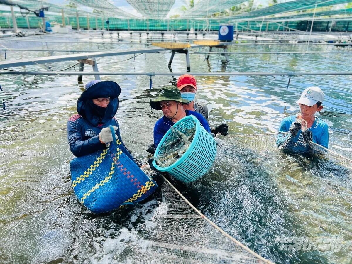 Cần Thơ lập mạng lưới quan trắc môi trường nuôi thủy sản đến năm 2030