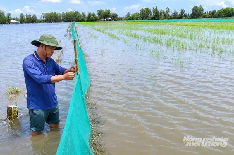 Ba kịch bản nguồn nước ứng phó với El Nino 
