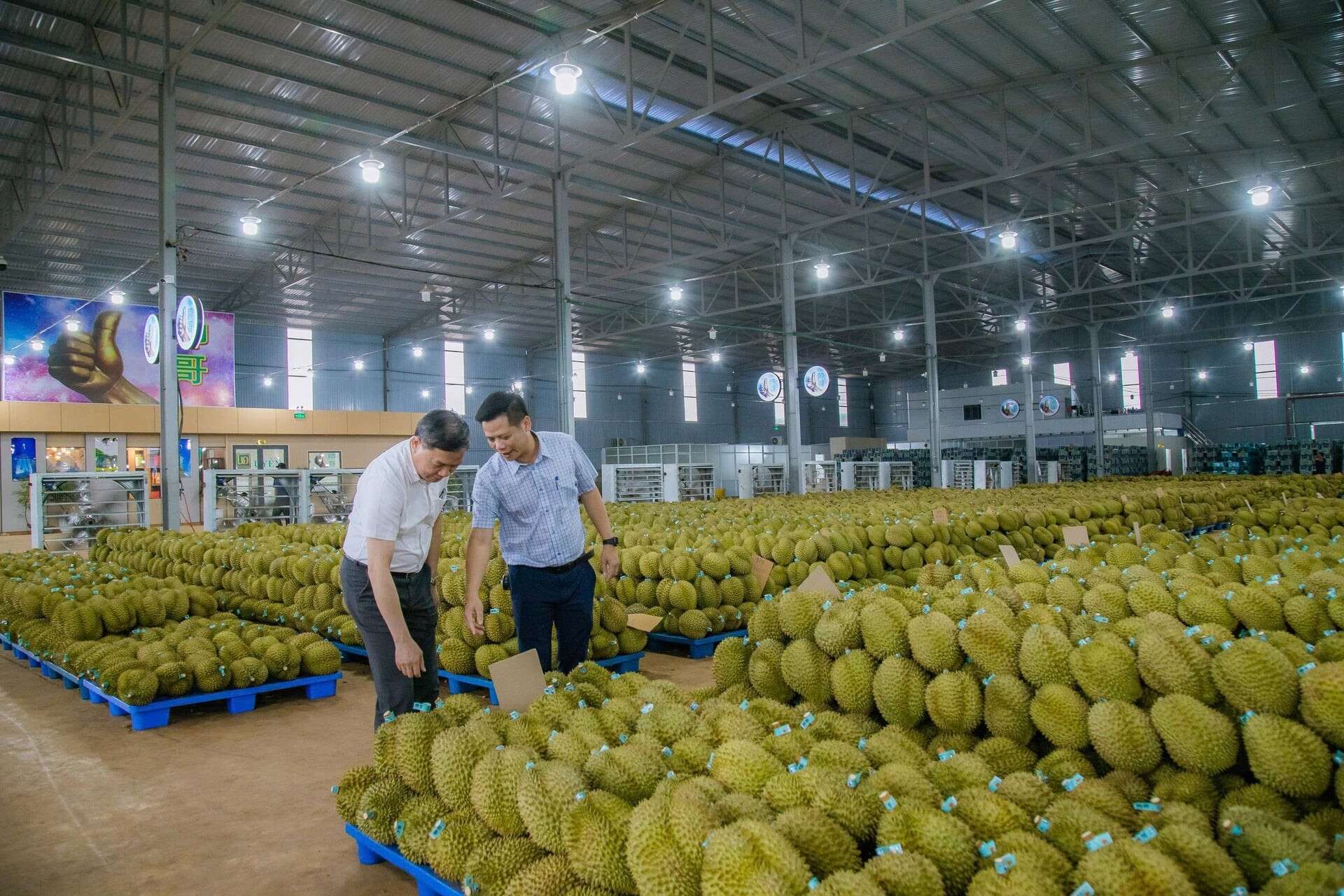 Đắk Lắk đơn giản hóa việc cấp mã số, siết chặt hậu kiểm
