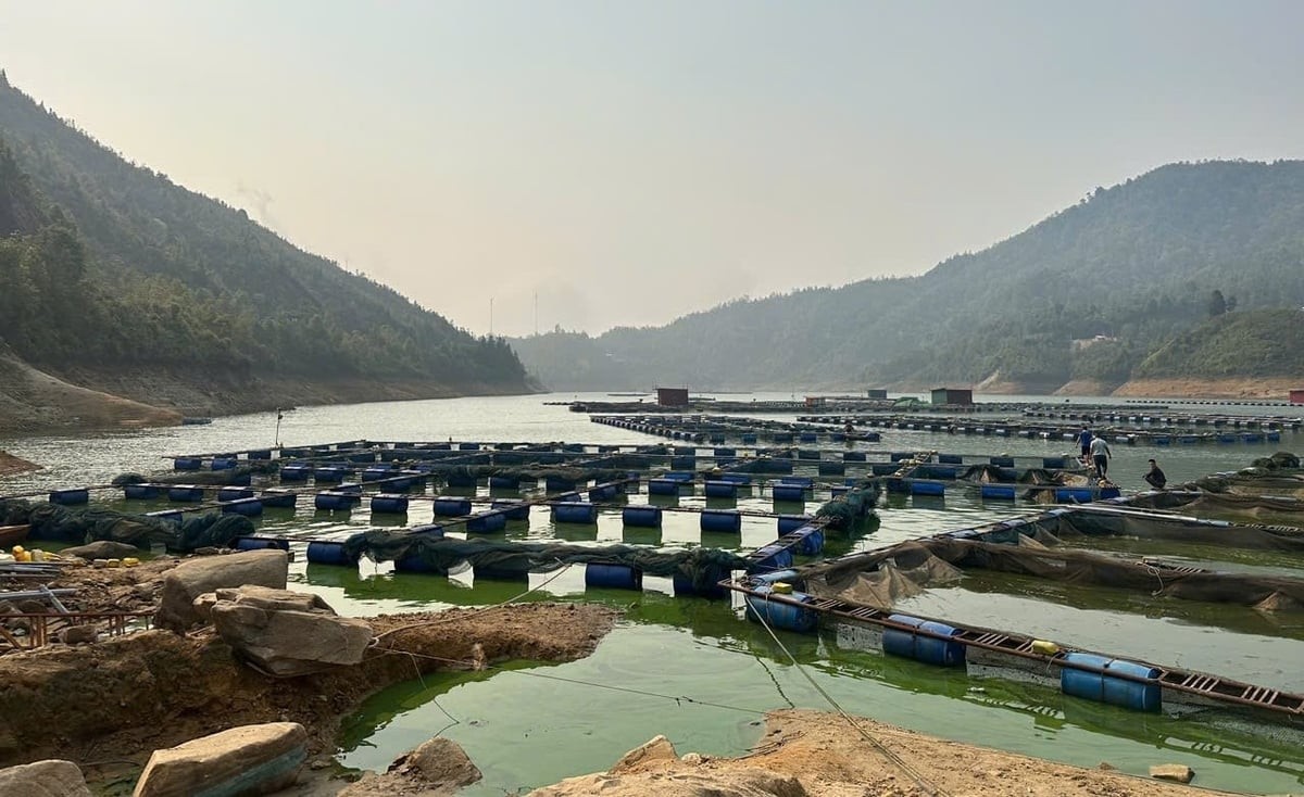 Lào Cai phấn đấu đến 2030 sản lượng thủy sản hồ chứa đạt trên 7.500 tấn/năm