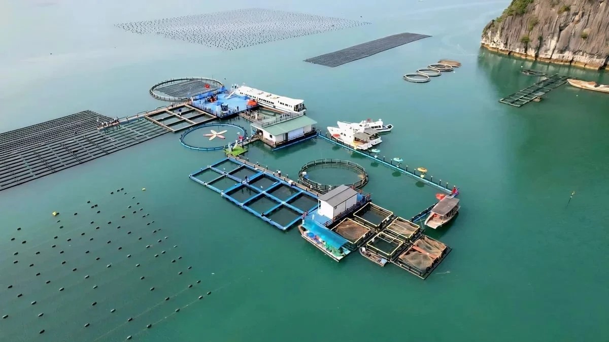 Xây dựng quốc gia biển mạnh: Khơi thông nguồn lực, tạo động lực mới 